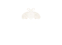 Patrón